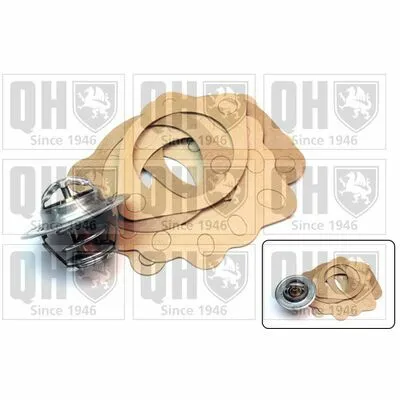 Compra Oggi Stesso QUINTON HAZELL QTH100K Termostato, Refrigerante