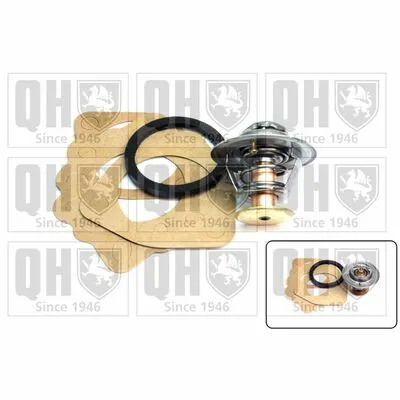 QUINTON HAZELL QTH117K Termostato, Refrigerante Di Tendenza