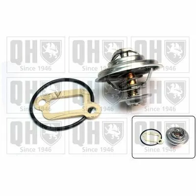 Spedizione Espresso QUINTON HAZELL QTH132K Termostato, Refrigerante