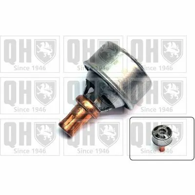 Promozione Esclusiva QUINTON HAZELL QTH205 Termostato, Refrigerante