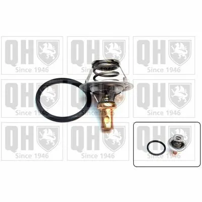QUINTON HAZELL QTH267K Termostato, Refrigerante Acquista Ora
