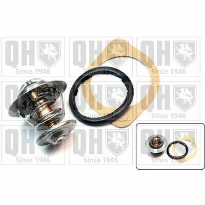 Direttamente Dal Produttore QUINTON HAZELL QTH316K Termostato, Refrigerante