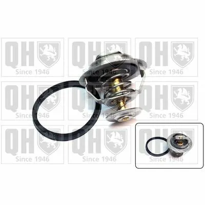 Reso Gratuito QUINTON HAZELL QTH372K Termostato, Refrigerante