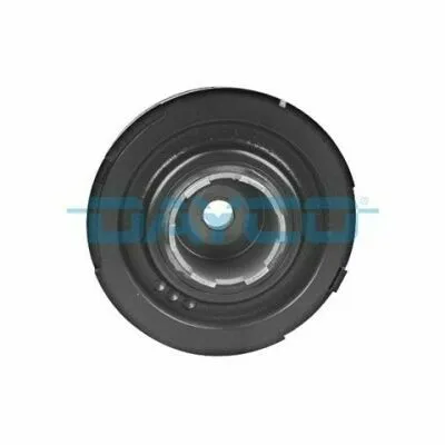 DAYCO DPV1073 Puleggia Cinghia, Albero a Gomiti Più Venduto