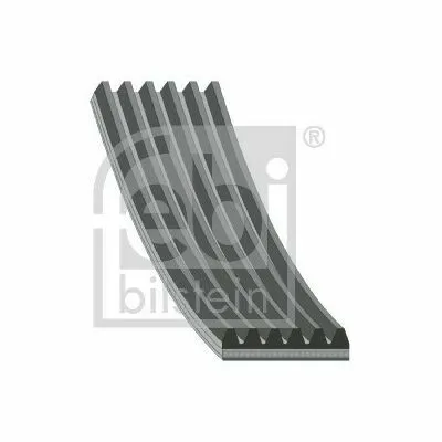 FEBI BILSTEIN 43606 Cinghia Poly-V Ultimissimo Modello