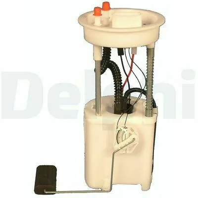 DELPHI FG1069-12B1 Pompa Carburante Occasione