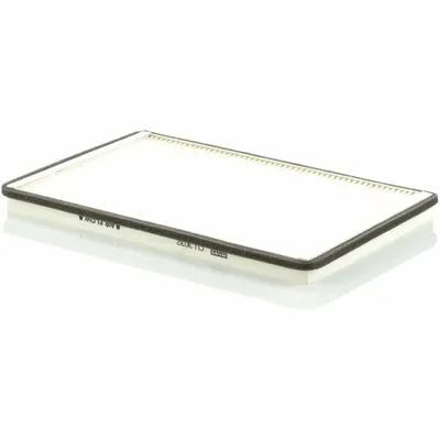 Economico MANN-FILTER CU 3032 Filtro, Aria Abitacolo