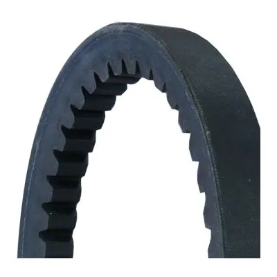 CONTITECH AVX17X1055 Cinghia Trapezoidale Must-Have