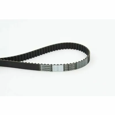CONTITECH CT1081 Cinghia Dentata Spedizione Espresso