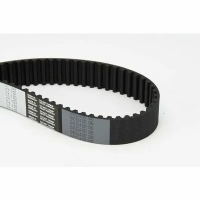 CONTITECH CT1123 Cinghia Dentata Offerta Limitata
