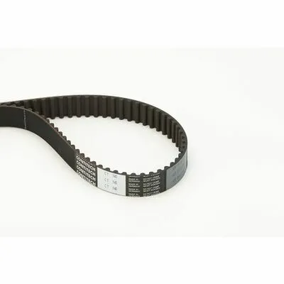 CONTITECH CT740 Cinghia Dentata Acquista Ora