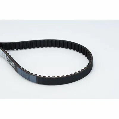 Consegna Rapida CONTITECH CT997 Cinghia Dentata