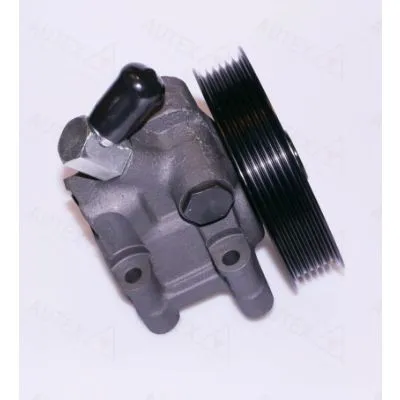Economico AUTEX 863060 Pompa Idraulica, Sterzo