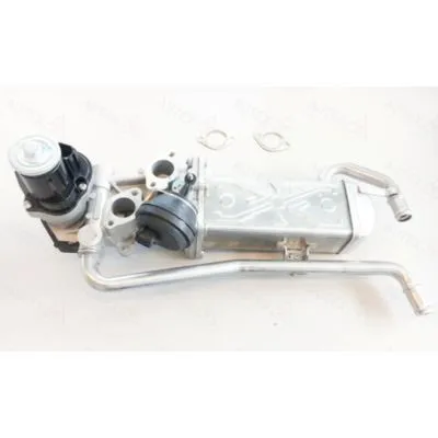 AUTEX 959500 Valvola EGR Consegna Rapida