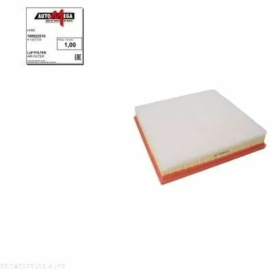 Prezzo Scontato AUTOMEGA 180022510 Filtro Aria