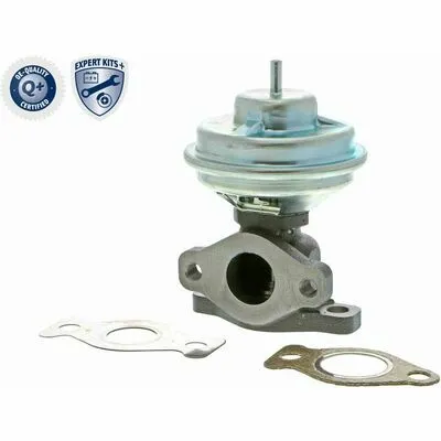 ACKOJA EXPERT KITS + A52-63-0001 Valvola EGR Occasione