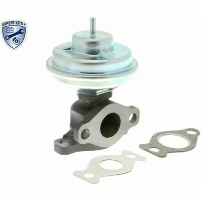 Pagamento Sicuro ACKOJA EXPERT KITS + A52-63-0002 Valvola EGR
