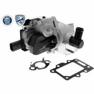 ACKOJA EXPERT KITS + A52-63-0016 Valvola EGR Spedito Oggi