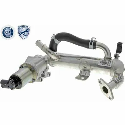 Promo Stagionale ACKOJA EXPERT KITS + A52-63-0018 Valvola EGR
