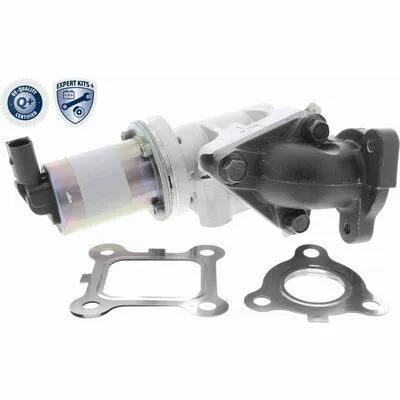 Affare ACKOJA EXPERT KITS + A53-63-0001 Valvola EGR