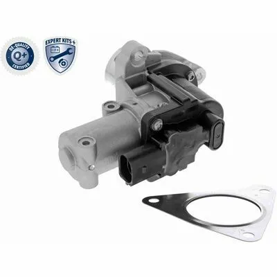 Spedito Oggi ACKOJA EXPERT KITS + A53-63-0003 Valvola EGR
