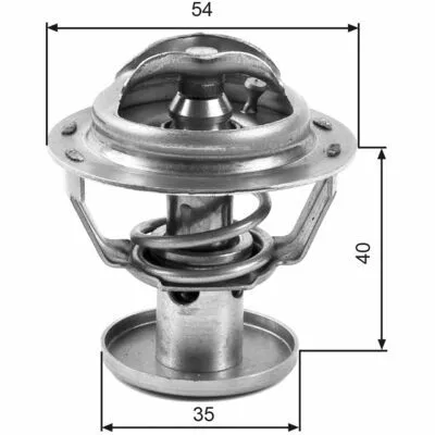 Must-Have GATES TH32387G1 Termostato, Refrigerante