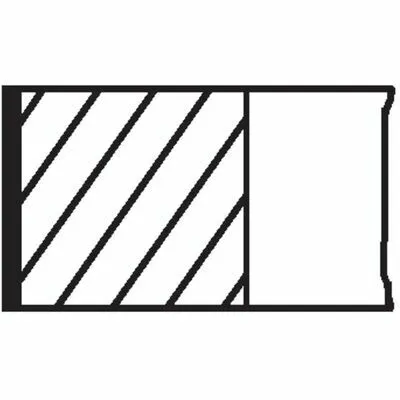 MAHLE 040 02 N0 Fascia Elastica Ultima Occasione