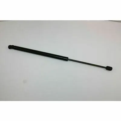 AUTOMEGA 100018110 Ammortizatore Pneumatico, Cofano Bagagli /Vano Carico Spedizione Espresso