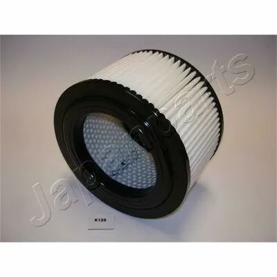 Scelto Dai Clienti JAPANPARTS FA-K12S Filtro Aria