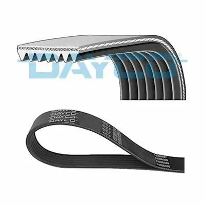DAYCO 7PK1730 Cinghia Poly-V Nuovo Arrivo